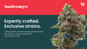 Bud & Mary's Expertly crafted Exclusive Strains. Crafted by experts