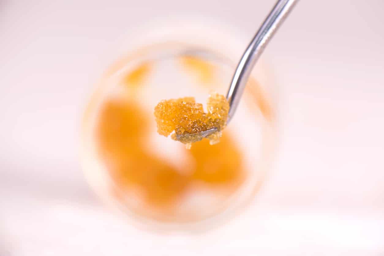 Cannabis concentrate live resin extract on a dabbing tool macro close-up